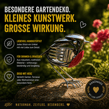 Lade das Bild in den Galerie-Viewer, Magische SilberSchwalbe – Wetterfest mit großer Wirkung
